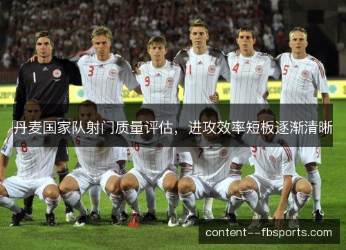 丹麦国家队射门质量评估,进攻效率短板逐渐清晰 丹麦国家队射门质量评估,进攻效率短板逐渐清晰
